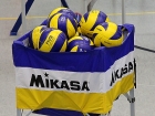 Volleyball, Beispielbild